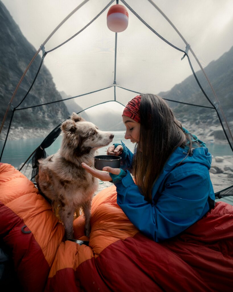 dog camping sleeping bag outdoors
