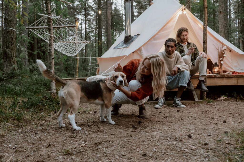 Friends enjoy camping in the woods with a playful dog and a cozy tent setting.