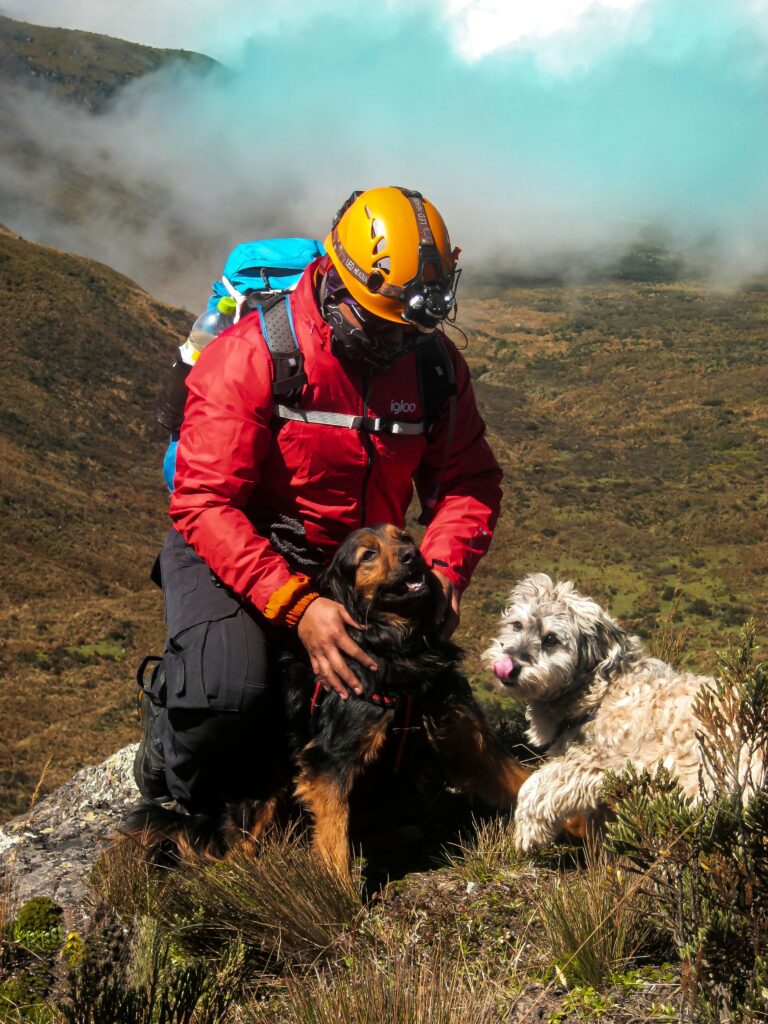 Hiker with helmet and dogs in a foggy mountainous landscape.