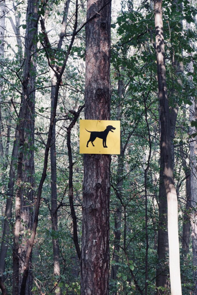 campground sign rules pets allowed campsite