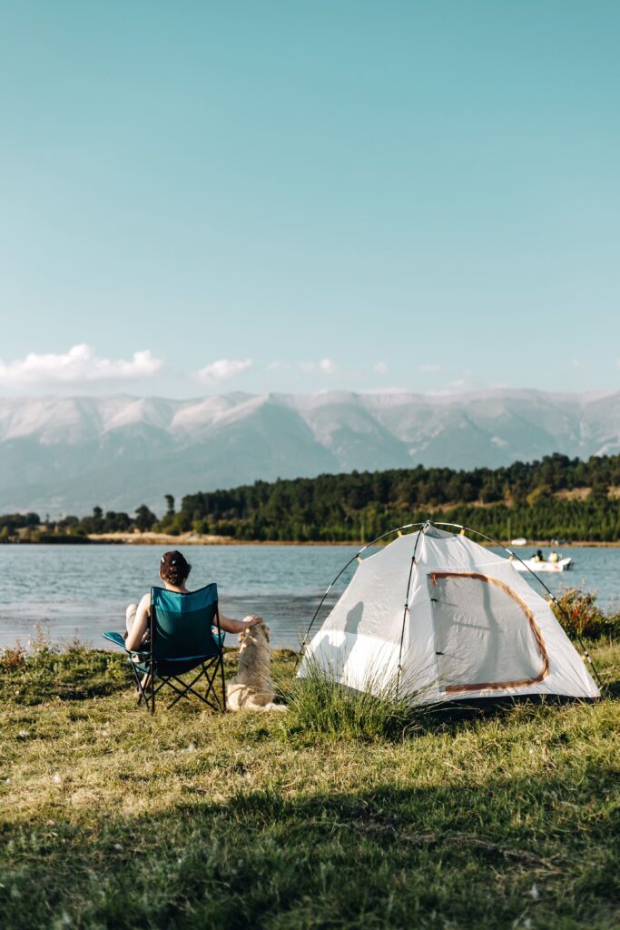 dog settling down calmly before sleep camping
