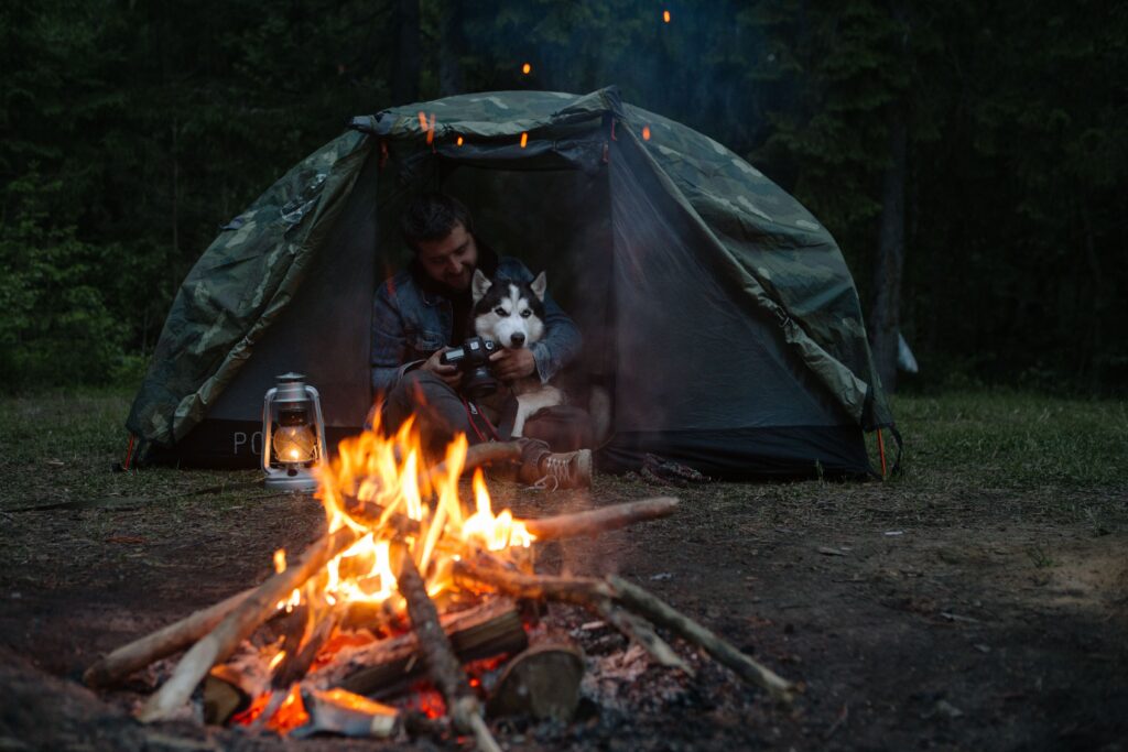 dog sitting in tent at night looking outside
